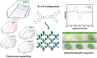 Graphical abstract: A D–A–D-type di-lophine derivative-based photoactive metal–organic framework: fluorescence sensing of UO22+ and photochromic behavior