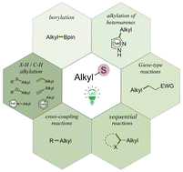 Graphical abstract: Shining light on sulfonium salts and sulfur ylides: recent advances in alkylation under photoredox catalysis