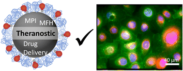 Graphical abstract: Design and characterisation of casein coated and drug loaded magnetic nanoparticles for theranostic applications