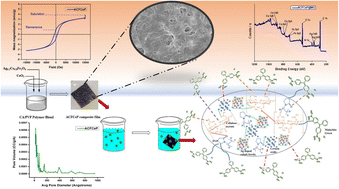 Graphical abstract: Ag–Co ferrite-based magnetic polymeric composite film: a breakthrough in cationic dye remediation for sustainable environment