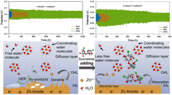 Graphical abstract: Sugar additive with a halogen group enabling a highly reversible and dendrite-free Zn anode