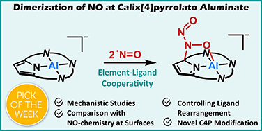 Graphical abstract: Nitrogen monoxide and calix[4]pyrrolato aluminate: structural constraint enabled NO dimerization