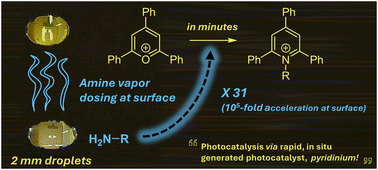 Graphical abstract: Reaction acceleration at the surface of a levitated droplet by vapor dosing from a partner droplet