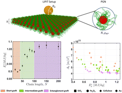Graphical abstract: Micro-ballistic response of thin film polymer grafted nanoparticle monolayers