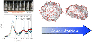 Graphical abstract: Phase behavior of binary mixtures of hollow and regular microgels