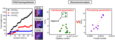 Graphical abstract: Towards a universal model for the foaming behavior of surfactants: a case study on per- and polyfluoroalkyl substances (PFAS)