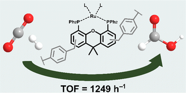 Graphical abstract: A solid xantphos macroligand based on porous organic polymers for the catalytic hydrogenation of CO2