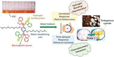 Graphical abstract: Oxyethylene-substituted bis-indolyl derivatives for enhanced cyanide detection: mechanistic insights and application in food safety analysis