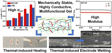 Graphical abstract: Decoupling Li+ conductivity and mechanical stability in a thermally reversible concentrated sulfone-based gel electrolyte for lithium metal batteries