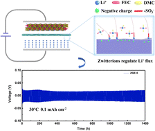 Graphical abstract: The role of zwitterionic crosslinks in facilitating ion conduction, lithium deposition, and stable interface formation for polymer electrolyte-based lithium metal batteries