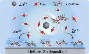 Graphical abstract: Sucralose with bifunctional groups as a functional additive enhancing the interfacial stability of zinc metal anodes via interfacial molecular chemistry regulation