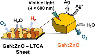 Graphical abstract: Long-wavelength photoresponsive gallium zinc oxynitride for efficient oxygen evolution and Z-scheme water splitting reactions