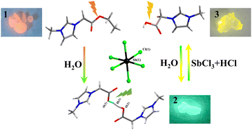 Graphical abstract: Modulating organic functional groups in stimuli-responsive luminescent antimony chlorides