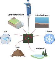 Graphical abstract: Facile detection of microplastics from a variety of environmental samples with conjugated polymer nanoparticles