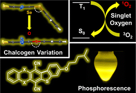 Graphical abstract: Tuneable phosphorescence and singlet oxygen production of bridged ethers via chalcogen variation and photocyclisation
