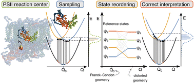Graphical abstract: Analyzing spectral distributions of charge transfer character in ensembles: a case study on the reaction center of photosystem II