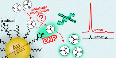 Graphical abstract: Nanoparticle-assisted dynamic nuclear polarization in liquids