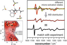 Graphical abstract: A VCD study on micro-solvation and self-aggregation of N-acetyl tryptophan propylamide