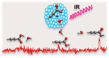 Graphical abstract: Probing binding-site preferences in a propiolic acid complex with water at 0.4 K