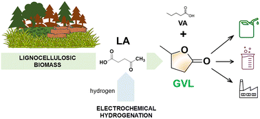 Graphical abstract: Enhanced electrocatalytic hydrogenation of levulinic acid to value-added chemical platforms