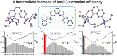 Graphical abstract: Steric hindrance of phenanthroline diamides enables a hundredfold increase in Am(iii) extraction efficiency