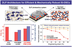 Graphical abstract: Dual-layered percolative networks of photoactive materials and elastomers for highly-stretchable, efficient organic photovoltaics with strain-induced power enhancement up to 60% strain