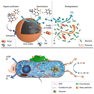 Graphical abstract: Synergistic integration of nanoscale zero-valent Iron and biological treatment for environmental remediation: mechanisms, system configurations, and performance optimization