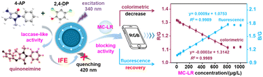 Graphical abstract: A molecular imprinting-based selectively regulated laccase-like nanozyme strategy for on-site visual colorimetric/fluorescence assay toward microcystins in environmental waters