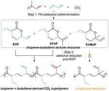 Graphical abstract: Synthesis and ring-opening (co)polymerization of lactones derived from the cotelomerization of isoprene, butadiene, and CO2