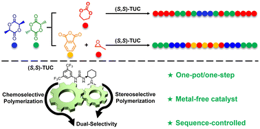 Graphical abstract: Dual-selective polymerization: achieving chemoselectivity and stereoselectivity in a single catalytic system