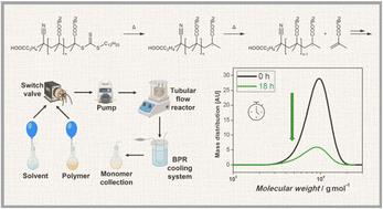 Graphical abstract: Understanding depolymerization kinetics of poly(butyl methacrylate) using flow chemistry