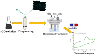 Graphical abstract: Green electrochemical sensing of ampicillin using reduced graphene oxide-modified electrodes