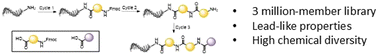 Graphical abstract: Design and synthesis of a chemically diverse, lead-like DNA-encoded library from sequential amide coupling