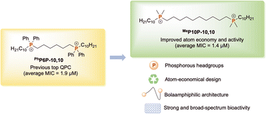 Graphical abstract: The versatile synthesis and biological evaluation of all-alkyl biscationic quaternary phosphonium compounds: atom-economical and potent disinfectants