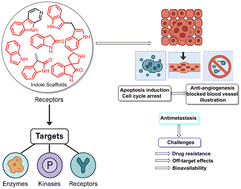 Graphical abstract: Recent developments in the discovery of indole-based scaffolds as promising targeted cancer therapeutics