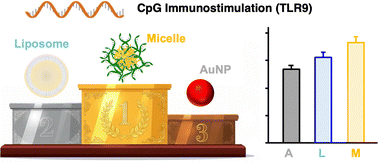 Graphical abstract: CpG-induced immune responses via DNA micelles, gold nanoparticles, and liposomes