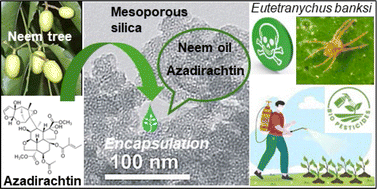 Graphical abstract: Azadirachtin-based formulation in combination with mesoporous silica materials as a plague control agent