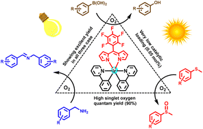 Graphical abstract: Visible light assisted oxidation of organic compounds by iridium(iii)dipyrrinato complexes