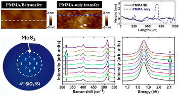 Graphical abstract: Wafer-scale integration of monolayer MoS2via residue-free support layer etching and angular strain suppression