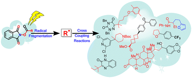 Graphical abstract: Recent advances in electrochemical utilization of NHPI esters