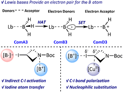 Graphical abstract: Theoretical insight: dual roles of electron-pair donors and acceptors in activating and mediating iodine atom transfer