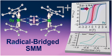 Graphical abstract: A tetraazanaphthalene radical-bridged dysprosium single-molecule magnet with a large coercive field