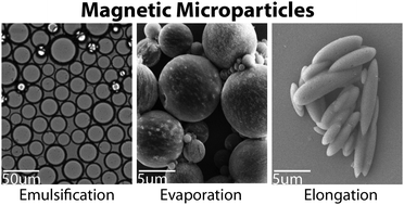 Graphical abstract: Reshapable magnetic particles for morphology-controlled soft systems