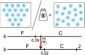 Graphical abstract: Dispersions of weakly charged thermoresponsive microgels at high densities