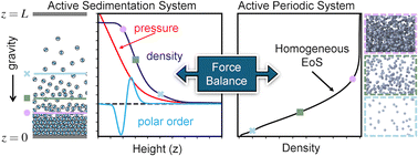 Graphical abstract: Sedimentation equilibrium as a probe of the pressure equation of state of active colloids