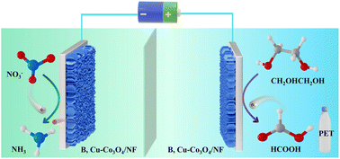 Graphical abstract: Hierarchical B and Cu co-doped Co3O4 nanoarrays for nitrate reduction coupled with polyethylene terephthalate plastic upcycling