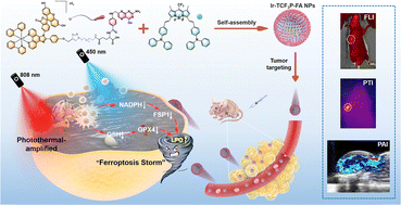 Graphical abstract: A cascaded amplification carrier-free nanoplatform for synergistic photothermal/ferroptosis therapy via dual antioxidant pathway disruption in cervical cancer