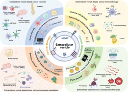 Graphical abstract: “A perfect pair”: extracellular vesicle-based novel strategies for precise cancer diagnosis and effective treatment