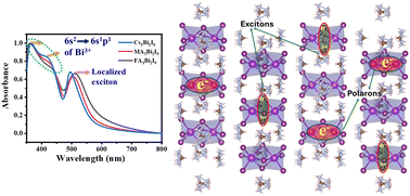 Graphical abstract: Intricate carrier dynamics of bismuth halide perovskites: localized excitons and polarons