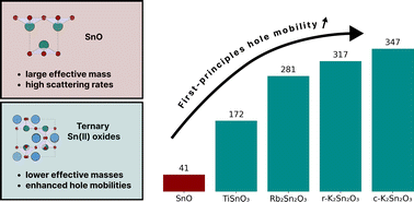 Graphical abstract: First-principles understanding of hole mobility and intrinsic transport mechanisms in Sn(ii) oxides